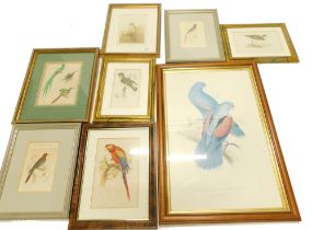 A quantity of bird prints, to include some hand coloured 19thC examples, including the Trogon, the K