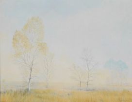 Alan Stuttle (British, b.1939). Autumn landscape with trees, oil on canvas, signed, 70cm x 90cm.