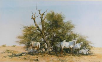 David Shepherd (1931-2017). Arabian Oryx, signed limited edition print, 417/1500, 47cm x 73cm.