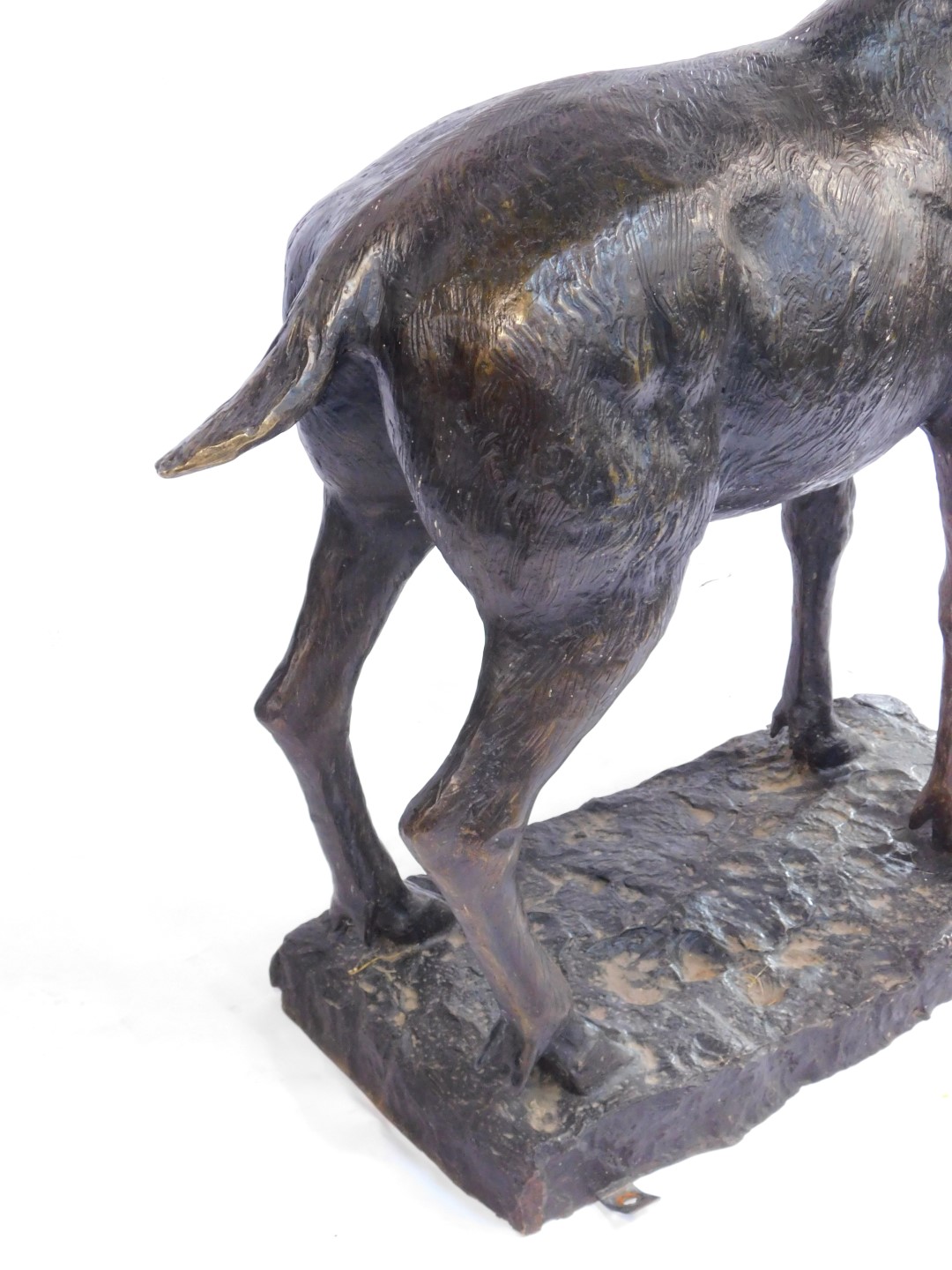 House of Douglas Collection. The Gazing Stag of The Glen, cast bronze, life size sculpture, approx 2 - Image 4 of 5