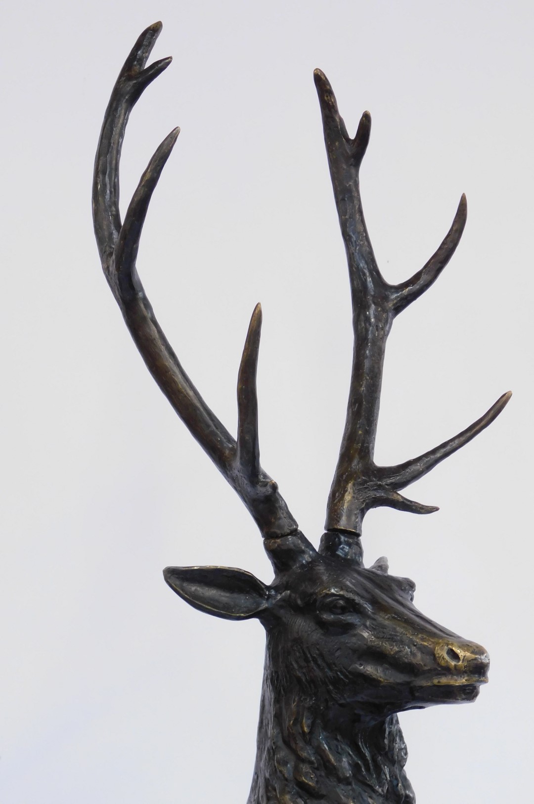 House of Douglas Collection. The Gazing Stag of The Glen, cast bronze, life size sculpture, approx 2 - Image 2 of 5