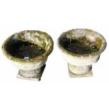 A pair of reconstituted stone garden urns, each with berry and vine detail on a square foot, 32cm hi