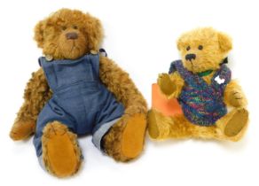 Two mohair Teddy bears, comprising a Rainbow Bears Teddy bear made by Judith Blythe, named William,