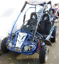 A Hammerhead petrol two seat go kart, with blue frame.