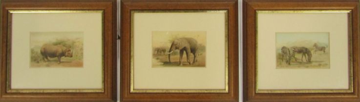 After P G Smith (20thC School). Safari prints, to include rhinoceros, zebras, and elephants, signed,