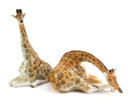 Two Russian Lomonosov porcelain giraffes, one in recumbent pose, 13.5cm high, and the other in seate