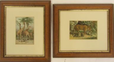 Two bookplate colour prints of safari scenes, to include leopard and cubs, and family of giraffes, 1