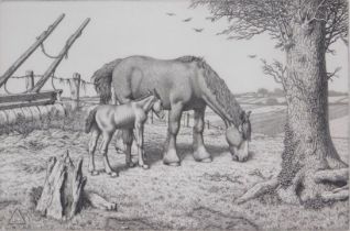Stanley Anderson (1884-1966). Daisy and her Foal, dry point etching, signed in pencil to margin, 17c