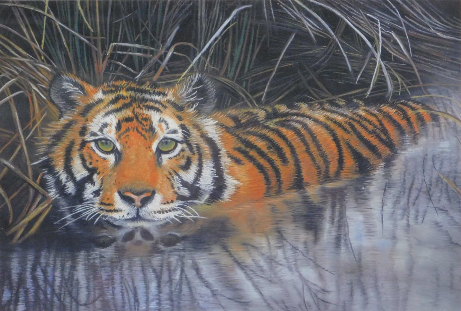 After Lindis Maria Colam (20thC). Siberian tiger in river, giclee print, 28cm x 39cm, framed and gla