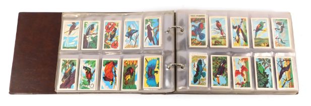 An album of cigarette cards, comprising Grande British Birds, Players and Wills British Birds, Birds