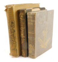 Three 20thC books, comprising Andrew Lang The Grey Fairy Book, dated 1900, in grey gilt tooled bindi