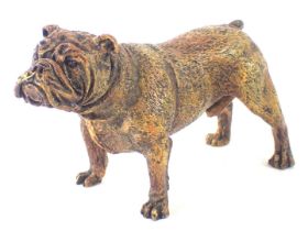 A gold painted bronze bulldog, stamped and numbered 8412, 7cm high, 12cm wide.