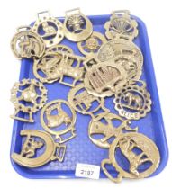 Horse brasses, comprising fox, horse, cathedral, and others. (1 tray)