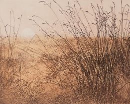 Phil Greenwood (b.1943). White Sun, artist signed coloured etching, titled and dated (19)80, 42.5cm