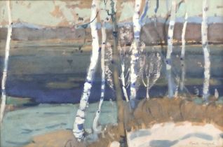 Paul Alfred (1892-1959). Silver Birch, watercolour, signed and titled, 19cm x 28cm.