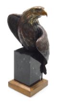 An American bronze of a bald eagle "Vigilance", modelled by Doctor Robert Taylor, perched on a black