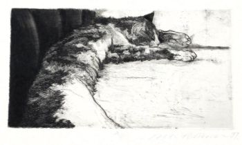 English School (20thC). Jake, artist proof etching of a cat, signed indistinctly and dated '97, 28.