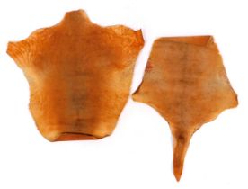 Two animal skins, comprising kangaroo and wallaby. Acquired by the vendor in South Australia, in 19