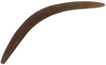 An aboriginal wooden killer boomerang, undecorated, 59cm wide. Provenance: acquired in 1963-4 while