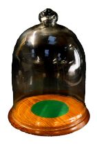 A glass dome, of bell shape, on a circular oak base, inset with a green felt panel, 43cm high.