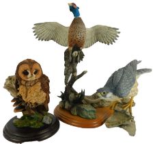 A group of model birds, comprising Country Artists Tawny Owl, CA537, Country Artists Peregrine Falco