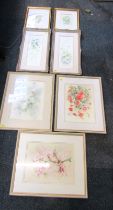 Various pictures, prints, etc., predominantly floral studies, to include Jean Titmus, study of poppi