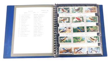 British Bird tea cards, comprising The Glengettie Tea, Feathered Friends, Tropical Birds, Birds and