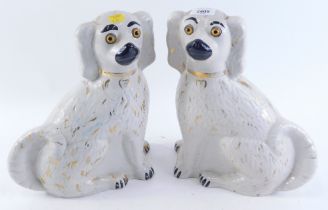 Two Staffordshire style spaniels.