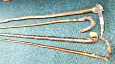 Four horn handled walking canes.