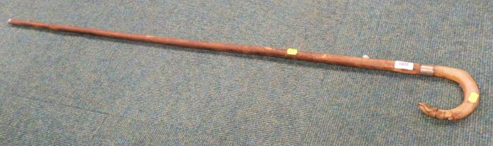 A Horn handled walking cane.