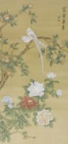 A 19thC Chinese watercolour on silk, of exotic birds in a blossoming tree, with peonies beneath, sig