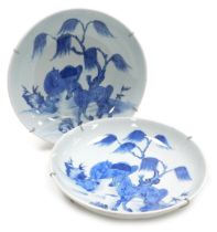 A pair of Qing dynasty blue and white porcelain dishes, decorated with two horses and a tree, verso