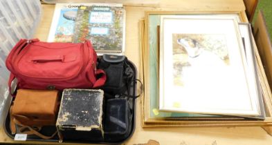 Vintage cameras, BBC Goon Show books, framed and glazed pictures including dogs and aircraft.