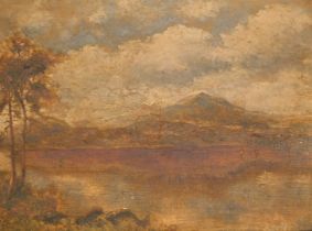 English School (19thC). Mountain and lake landscape, oil on canvas, signed indistinctly, 23.5cm x 34