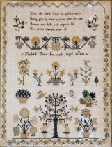 A Victorian sampler, on a material ground inscribed Elizabeth Tiers April 26th 1843, in later frame,