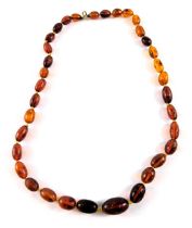 A Baltic amber graduated beaded necklace, the oblong beads on a knotted string strand, the largest 2