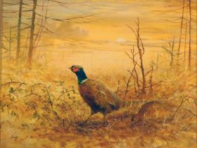 Torey (20th/21st School). Pheasants in autumnal landscape at sunset, oil on board, 28cm x 33cm, in g
