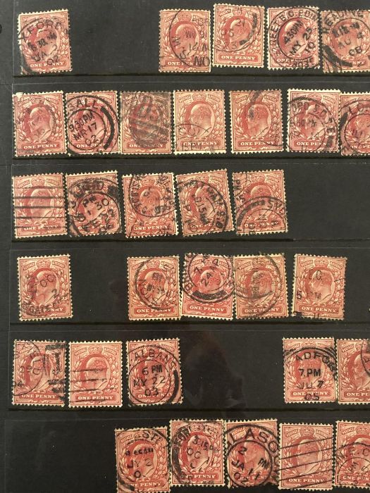 Philatelist interest - collection of one penny Edward VII penny red stamps (51) - Image 4 of 7