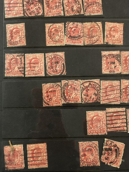 Philatelist interest - collection of one penny Edward VII penny red stamps (51) - Image 3 of 7