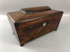 Mahogany tea caddy on bun feet, the interior with two compartments and a glass mixing bowl