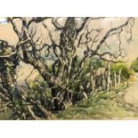 REGINALD GEORGE HAGGAR (British, 1905-1988), 'Tree at Lhergy Doo, Isle of Man', watercolour,