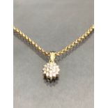 Daisey style Diamond pendant set in 9ct Gold and on a 9ct gold necklace approx 49cm long and total