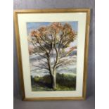 Large framed contemporary watercolour of a woodland scene, approx 91cm x 60cm