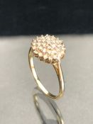 9ct Gold Diamond cluster ring, the head approx 10.5mm across, size 'Q' & 2.2g