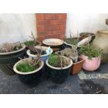 Collection of garden pots, approx 11 in total