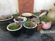 Collection of garden pots, approx 11 in total