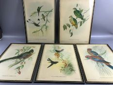 Collection of five Bird prints/ Lithographs by J. Gould & W. Hart, H.C Richter del et Lith printed