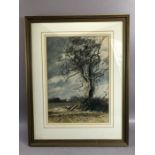 ROBERT READ (British, 20th Century), 'Ash Tree, November'', watercolour, signed lower right 1982,
