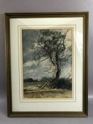 ROBERT READ (British, 20th Century), 'Ash Tree, November'', watercolour, signed lower right 1982,