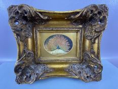 After ARCHIBALD THORBURN (Scottish, 1860-1935), colour print of a Peacock, in ornate gilt frame,